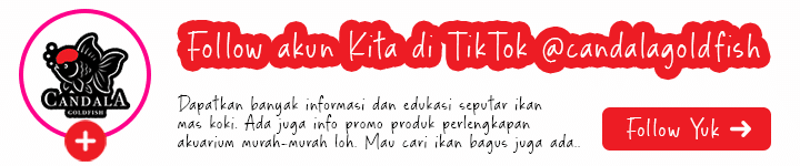 Penjernih Air Kolam dan Akuarium B-Micro