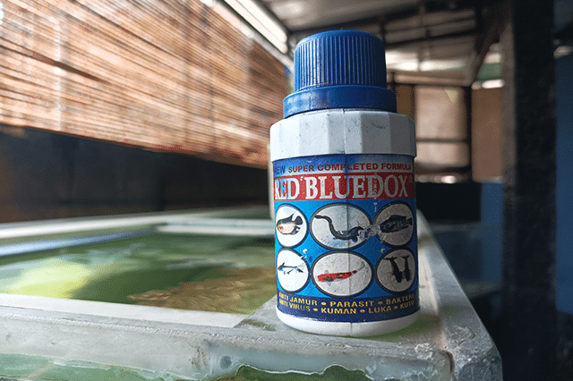 obat redbluedox untuk ikan koki